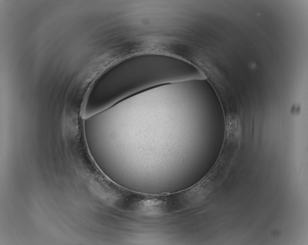 X0000111380158200907171230