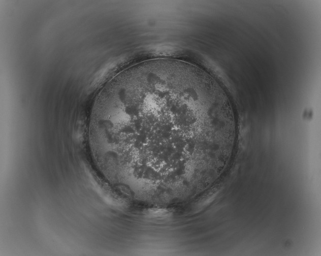 X0000111380161200907171230