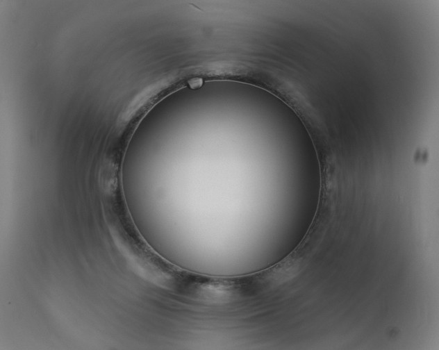 X0000111380164200907171230