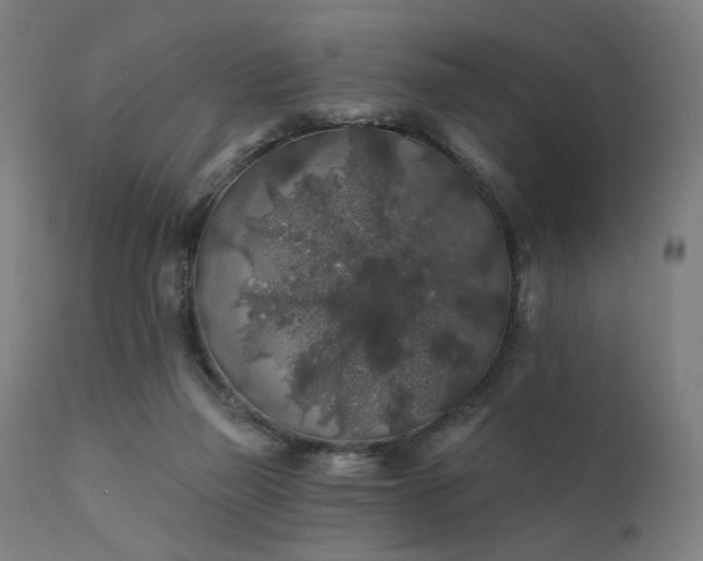 X0000111380165200907171230