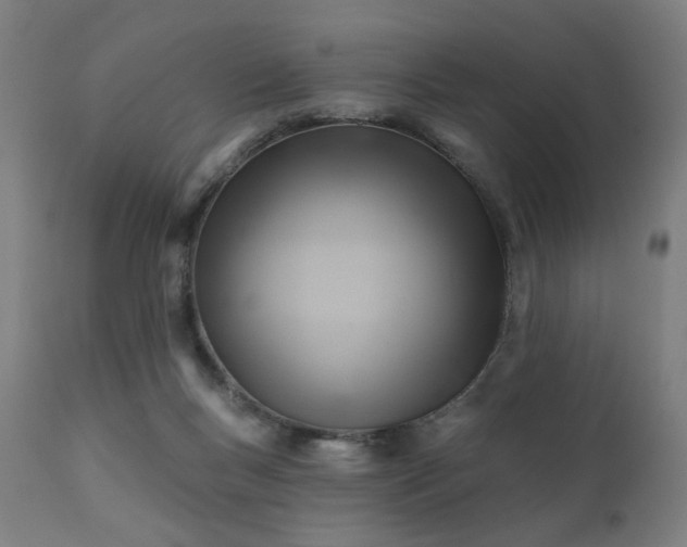 X0000111380167200907171230