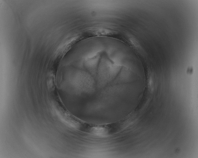 X0000111380169200907171230