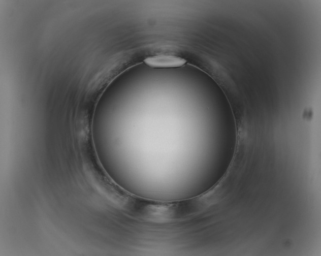 X0000111380170200907171230