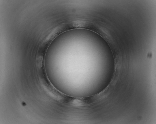 X0000111380171200907171230