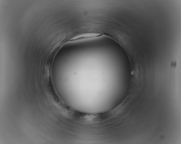 X0000111380172200907171231