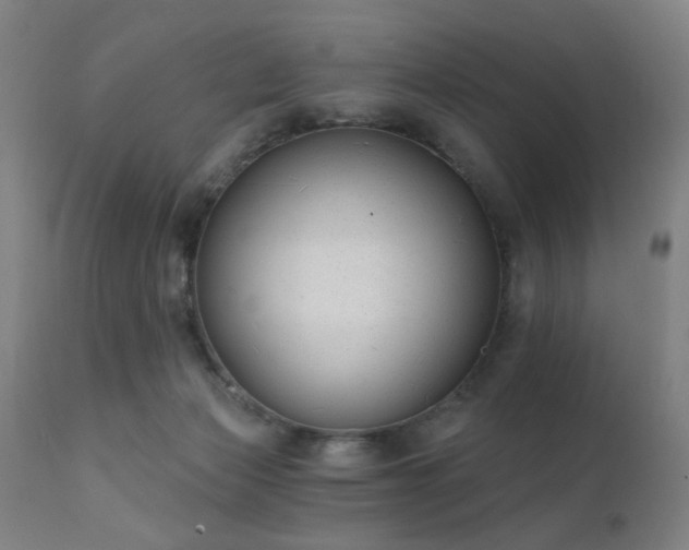 X0000111380173200907171231