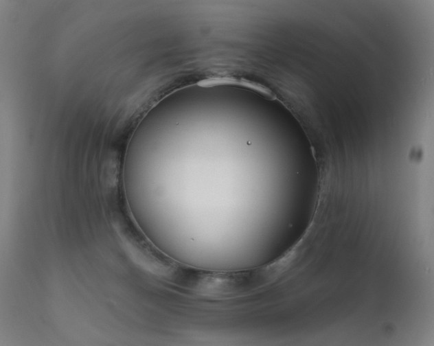 X0000111380174200907171231