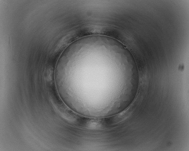 X0000111380175200907171231