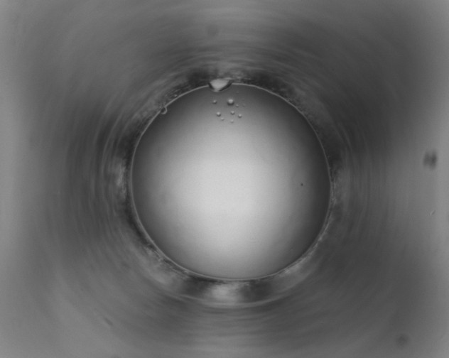 X0000111380178200907171231