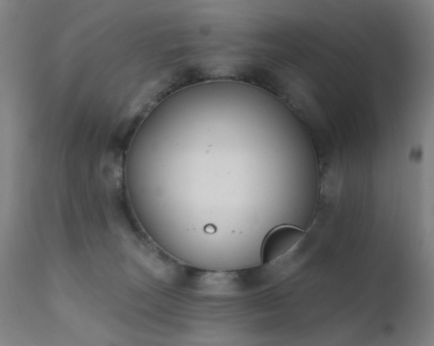 X0000111380179200907171231