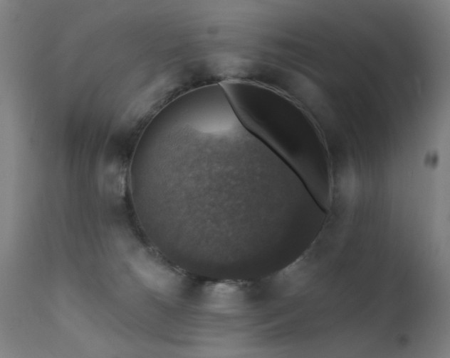 X0000111380180200907171231