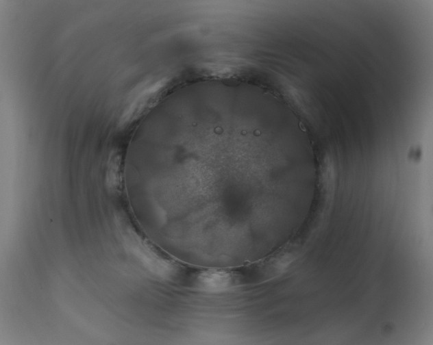 X0000111380181200907171231