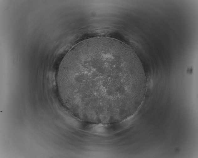 X0000111380182200907171231