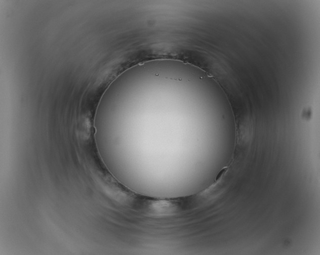 X0000111380183200907171231