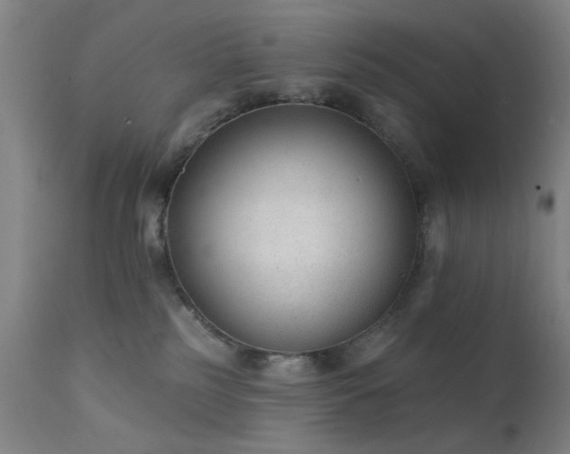 X0000111380185200907171231