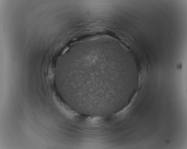 X0000111380186200907171231