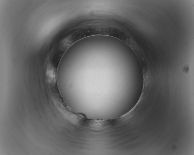 X0000111380191200907171231