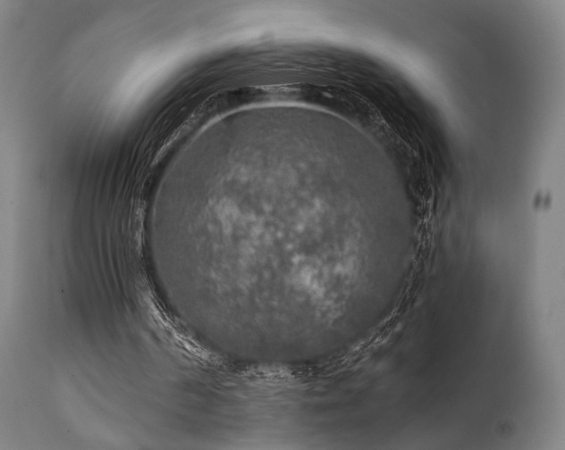 X0000111380194200907171230