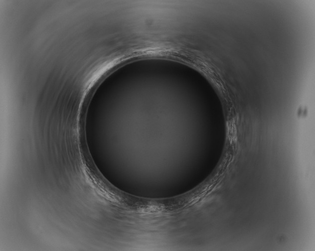 X0000111380196200907171230