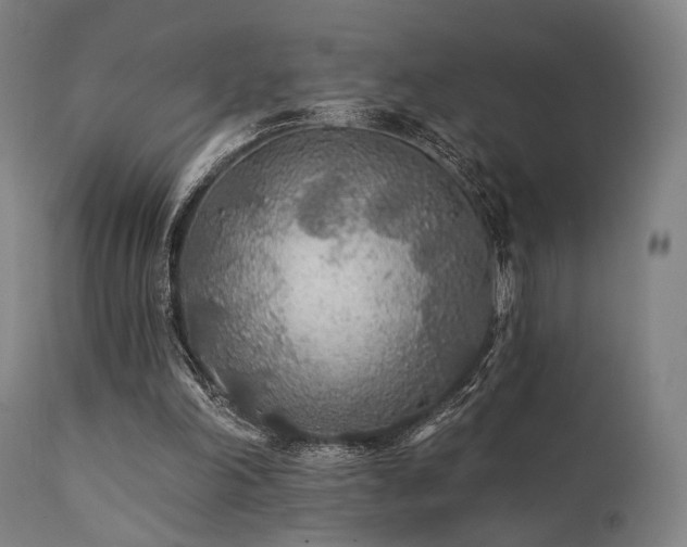 X0000111380198200907171230