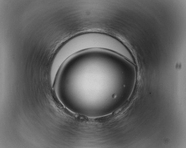 X0000111380201200907171230