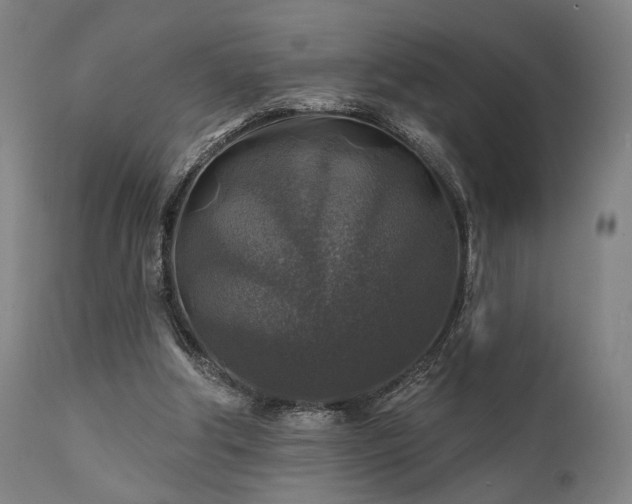 X0000111380202200907171230