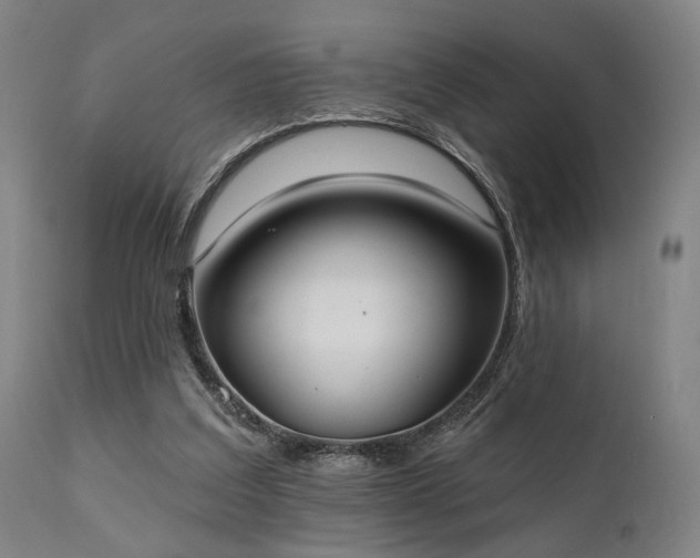 X0000111380203200907171230