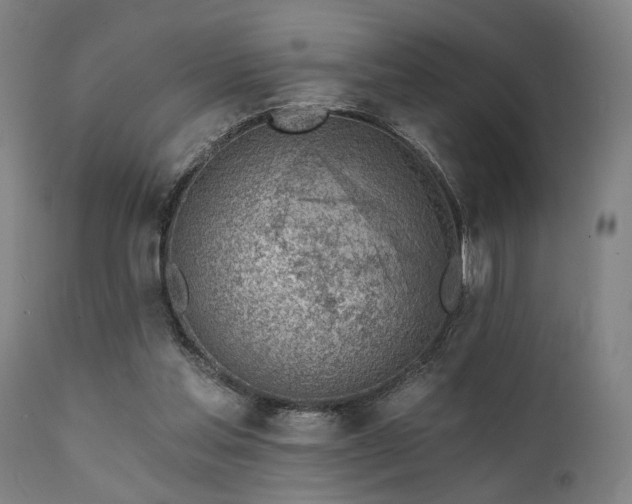 X0000111380205200907171230