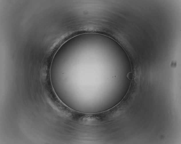 X0000111380208200907171230