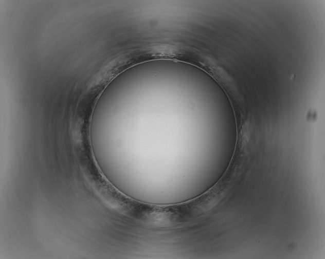 X0000111380209200907171230