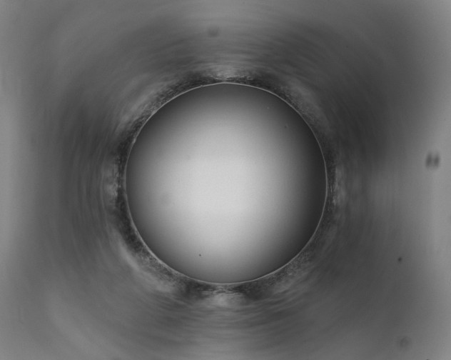 X0000111380210200907171230