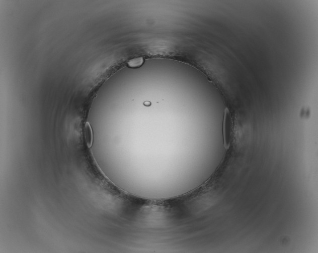 X0000111380211200907171230