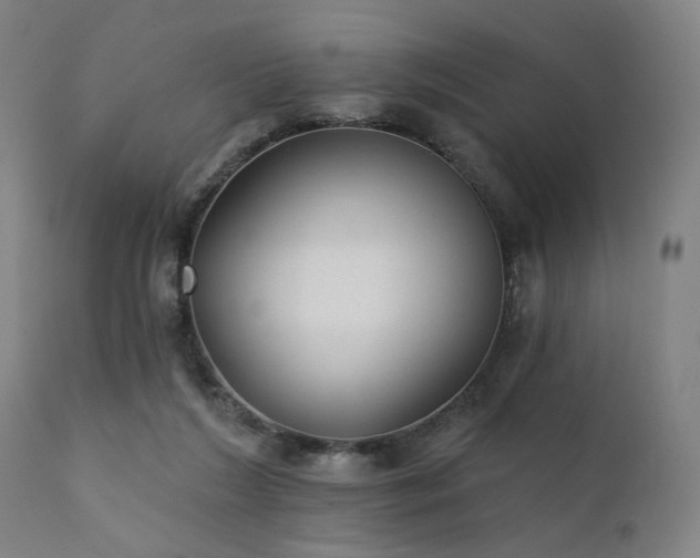 X0000111380212200907171230