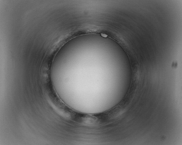 X0000111380215200907171230