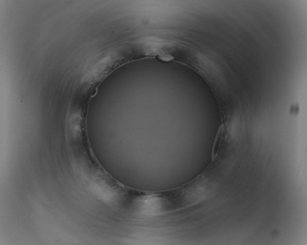 X0000111380219200907171230