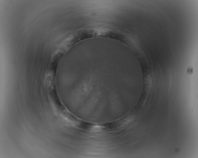 X0000111380222200907171230