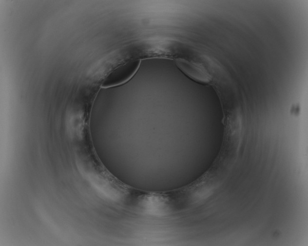 X0000111380223200907171230