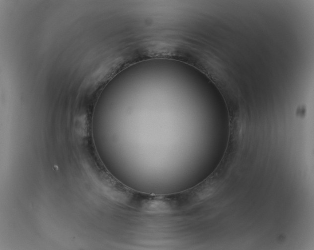 X0000111380224200907171230