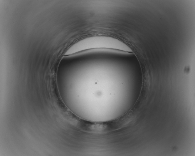 X0000111380225200907171230