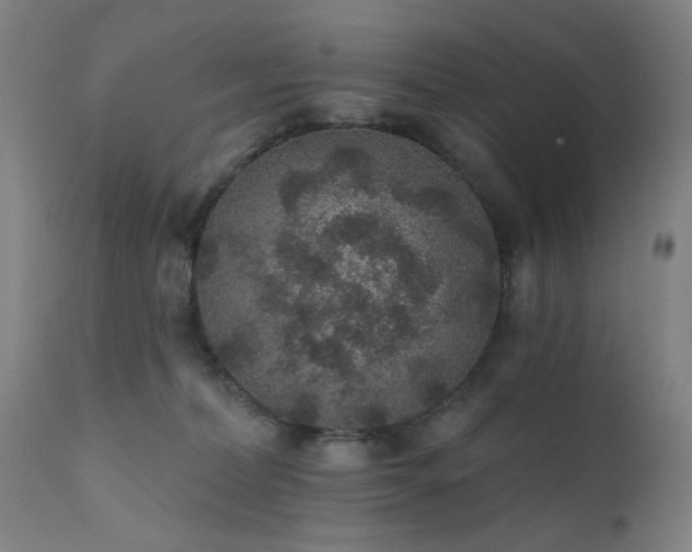 X0000111380228200907171230