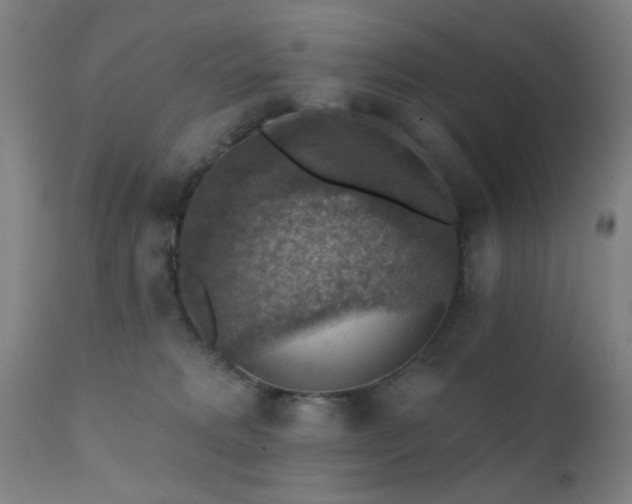 X0000111380229200907171230