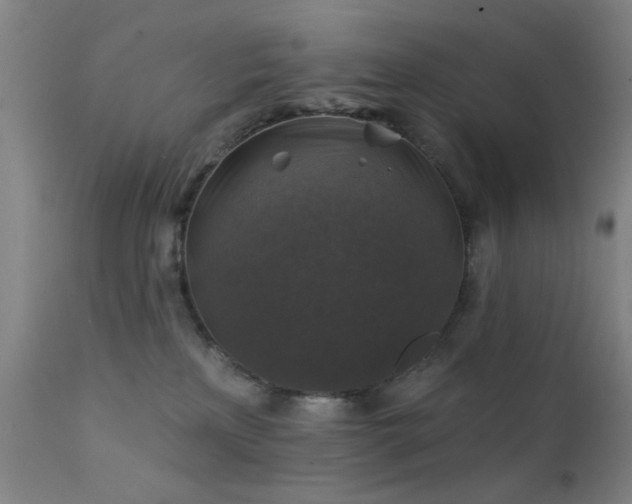 X0000111380233200907171230