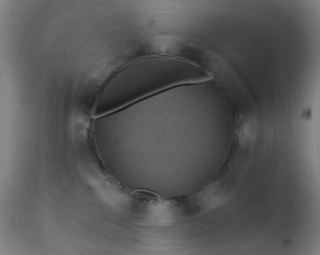 X0000111380235200907171229