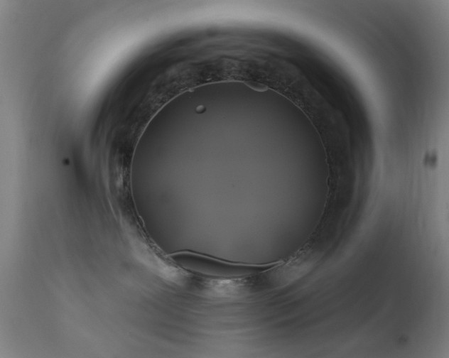 X0000111380239200907171229