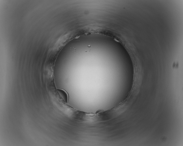 X0000111380240200907171229