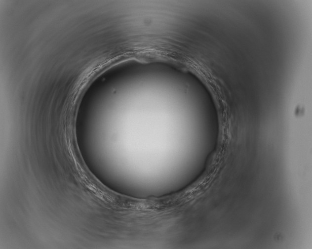 X0000111380241200907171229