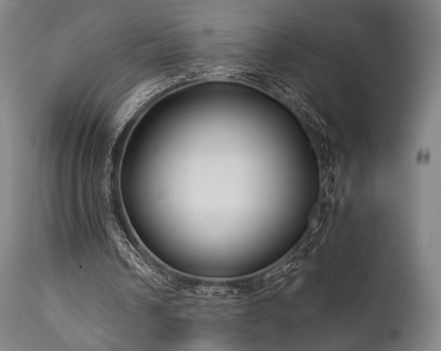 X0000111380242200907171229