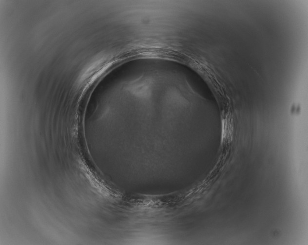 X0000111380243200907171229