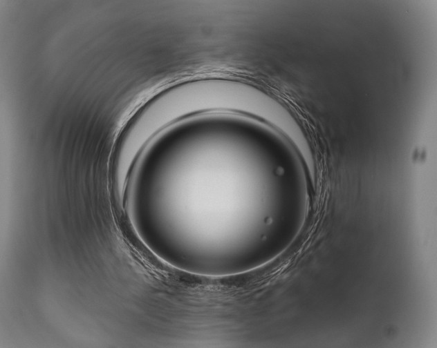 X0000111380244200907171229