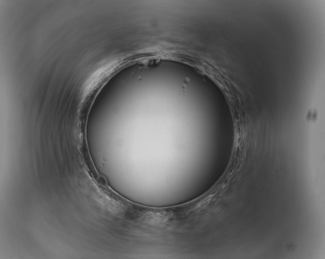 X0000111380245200907171229